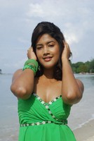 Soumya Gallery